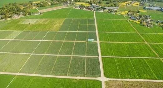 高标准农田建设的详细标准是什么
