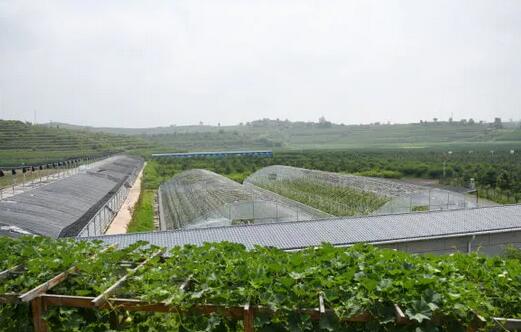 陕西推广软体集雨水窖水肥一体化手艺，，，，，，推动节水农业生长 