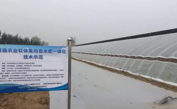 天津市温室大棚软体集雨水窖，，，，，为节约用水开发了新路